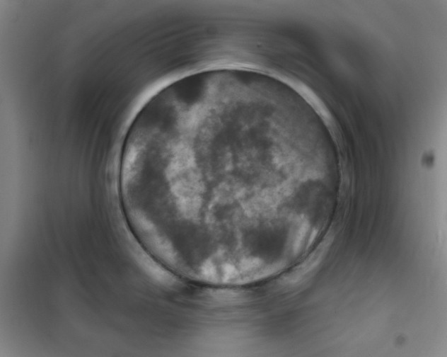 X0000101111246200807241128