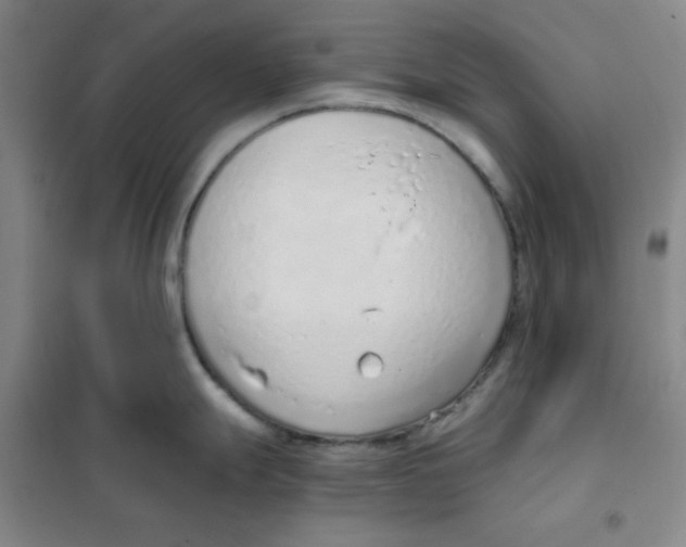 X0000101111247200807241128
