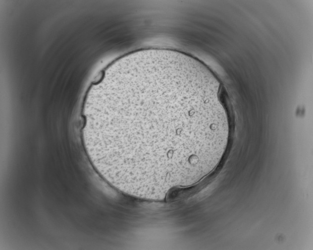 X0000101111248200807241128
