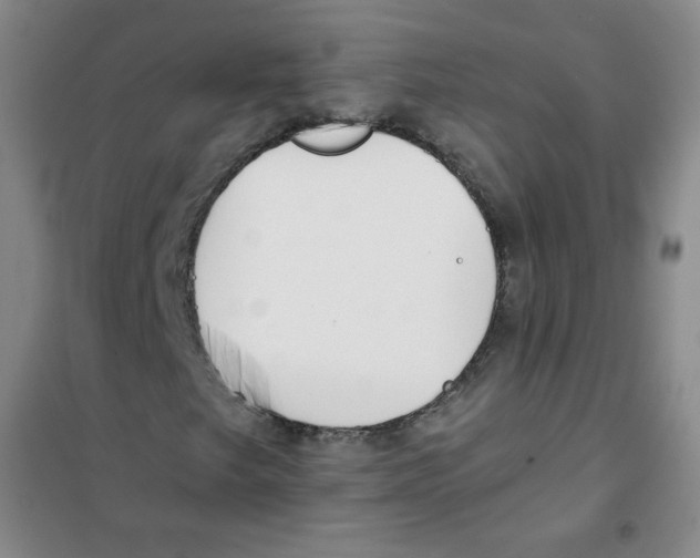 X0000101111249200807241128