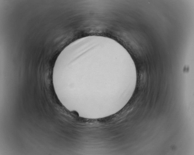 X0000101111250200807241128