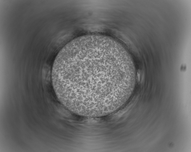 X0000101111251200807241128