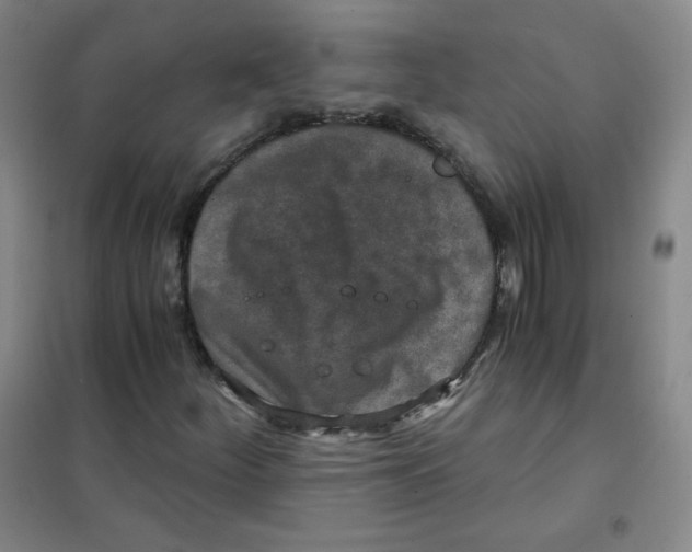X0000101111252200807241128