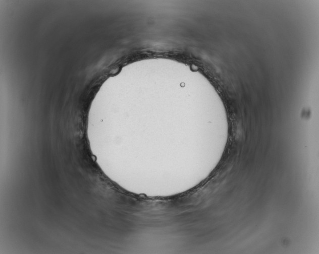 X0000101111253200807241128