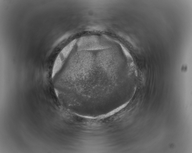 X0000101111254200807241128