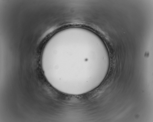 X0000101111255200807241128
