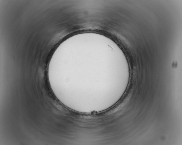 X0000101111257200807241128