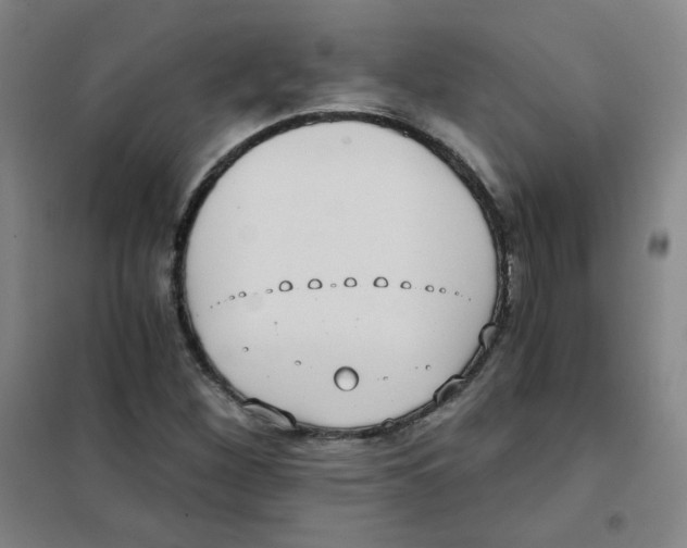 X0000101111260200807241128