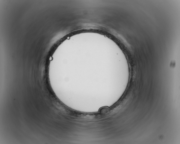 X0000101111261200807241128