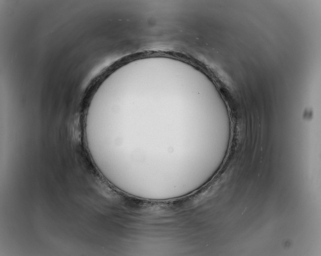 X0000101111262200807241128