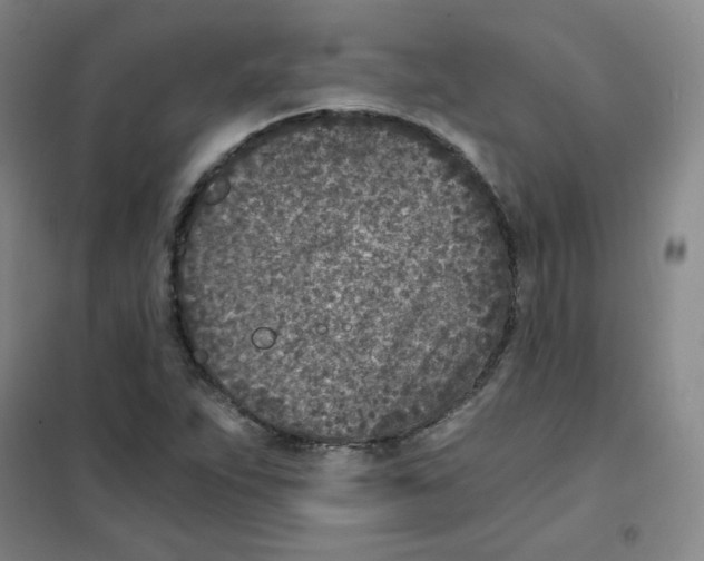 X0000101111263200807241127