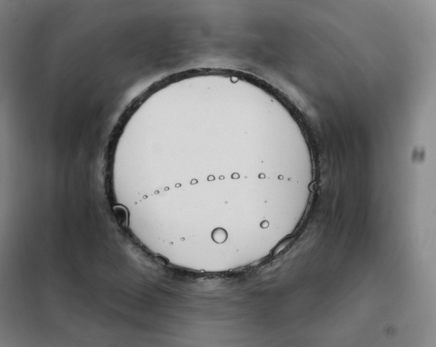 X0000101111264200807241127