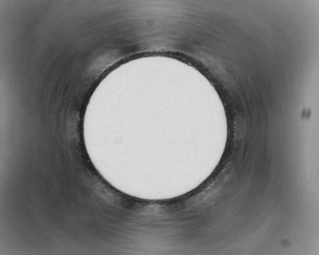 X0000101111265200807241127