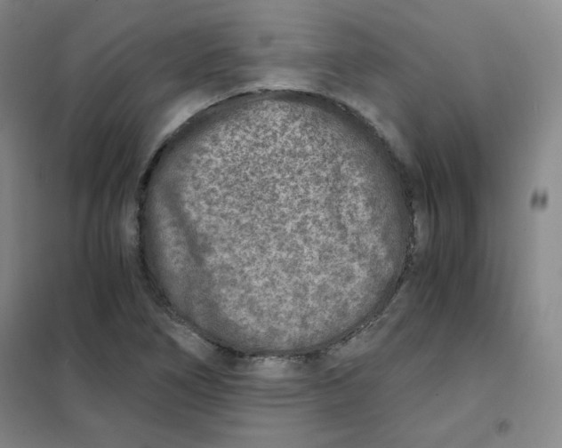 X0000101111266200807241127