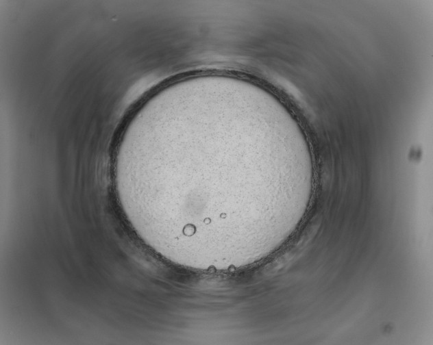 X0000101111267200807241127