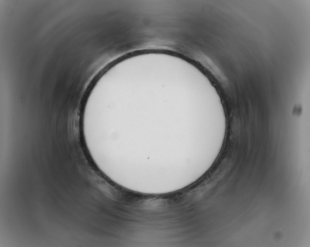 X0000101111268200807241127