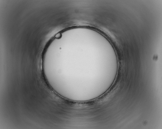 X0000101111269200807241127