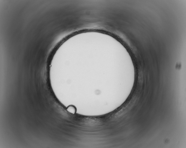 X0000101111270200807241127