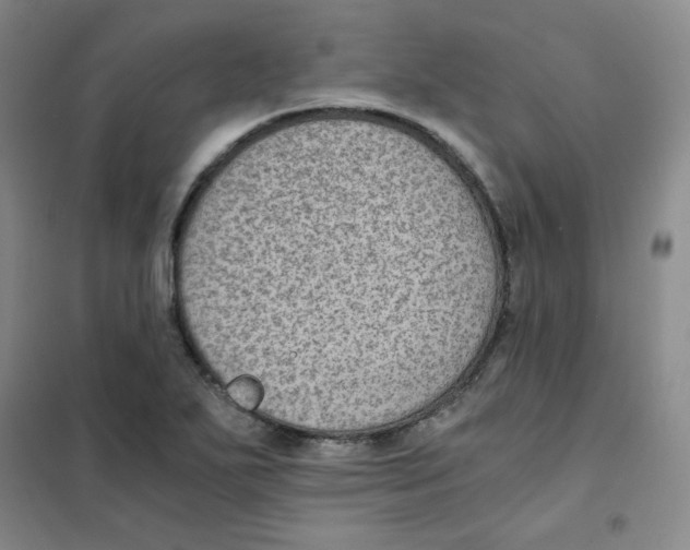 X0000101111271200807241127