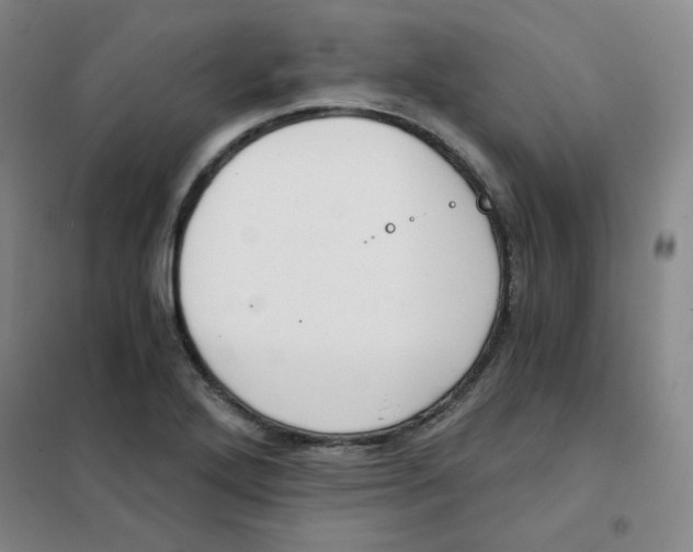 X0000101111272200807241127