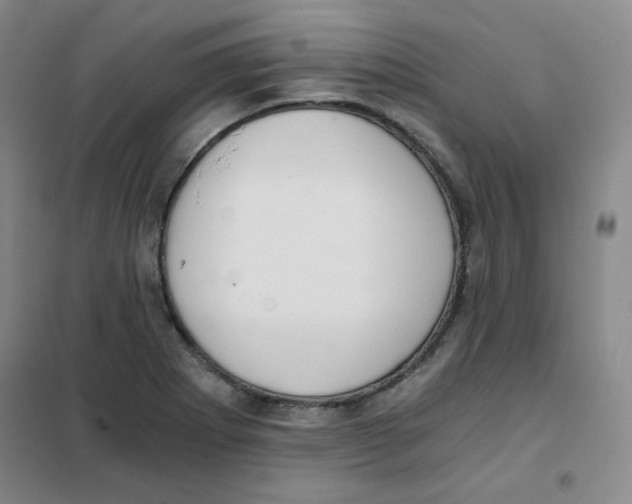 X0000101111273200807241127
