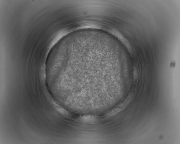 X0000101111274200807241127