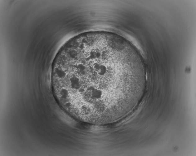 X0000101111275200807241127