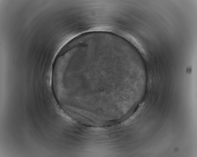 X0000101111276200807241127