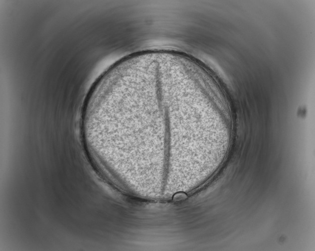 X0000101111277200807241127