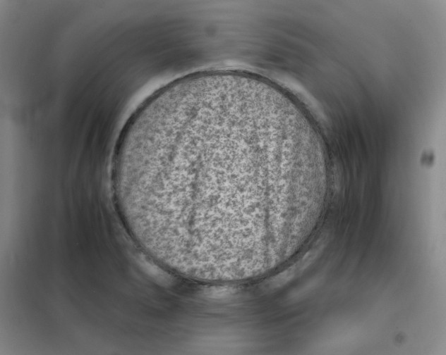 X0000101111278200807241127