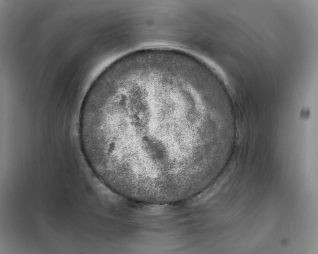 X0000101111279200807241127