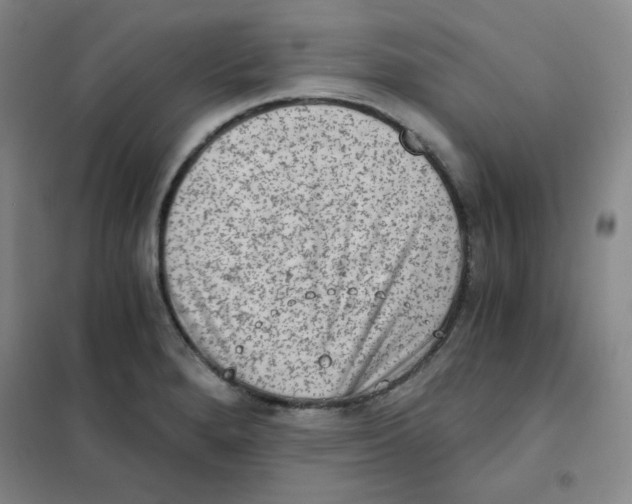 X0000101111280200807241127