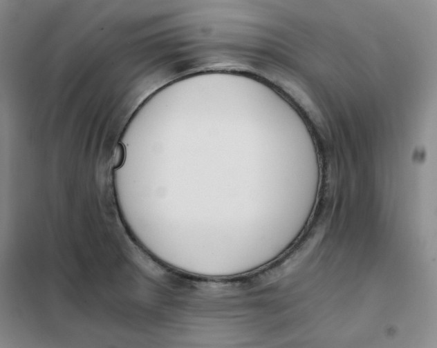 X0000101111281200807241127
