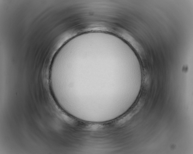 X0000101111282200807241127