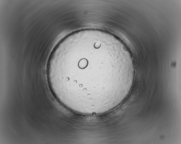 X0000101111283200807241127