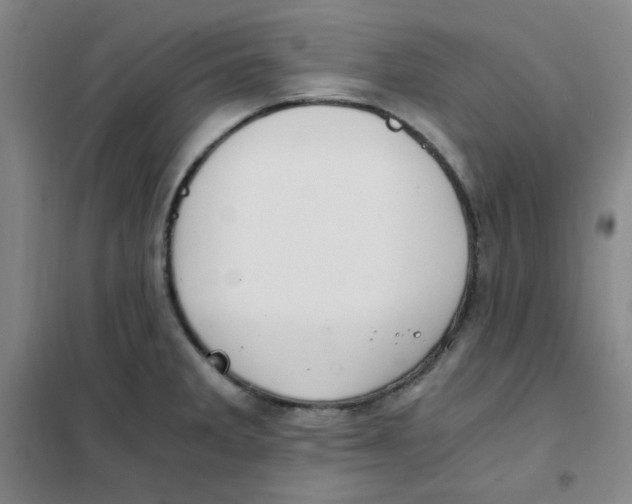X0000101111285200807241127