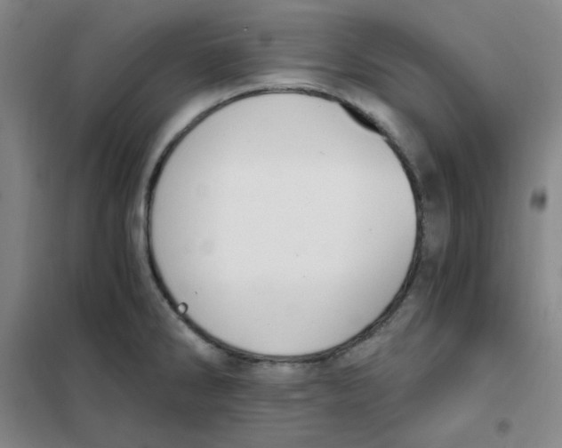X0000101111286200807241127