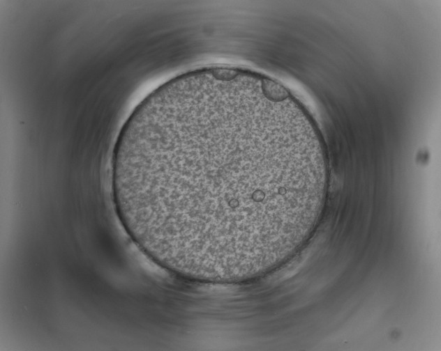 X0000101111287200807241127