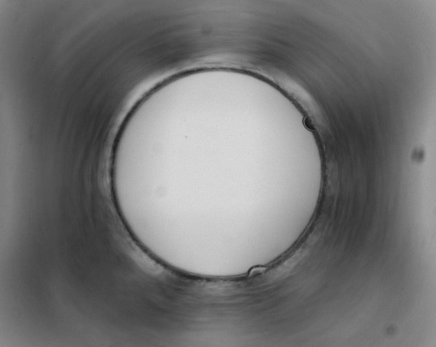X0000101111288200807241127