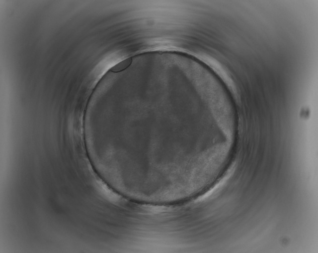 X0000101111289200807241127