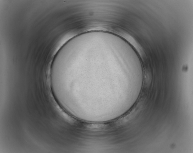 X0000101111290200807241127
