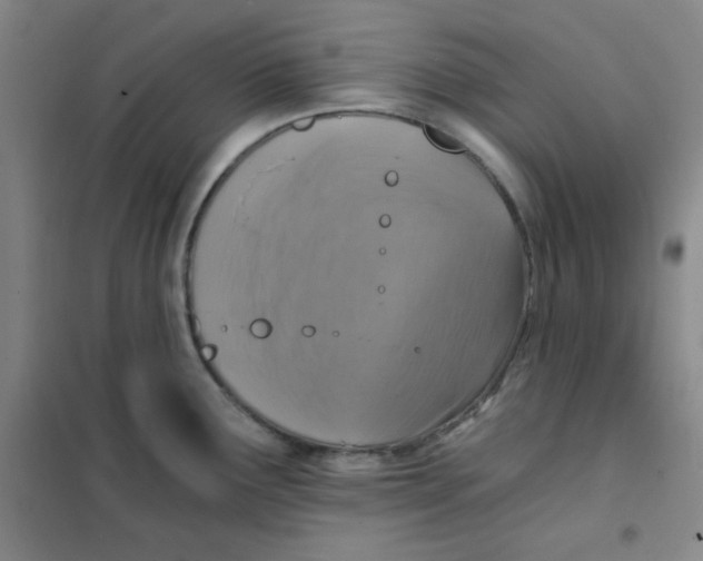 X0000101111291200807241127