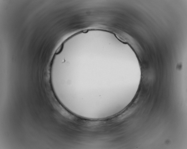 X0000101111292200807241127