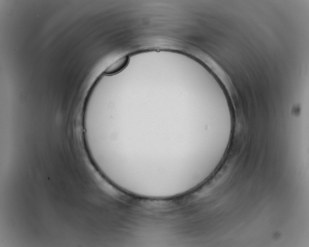 X0000101111293200807241127
