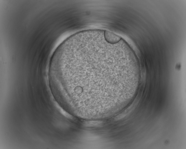 X0000101111294200807241127