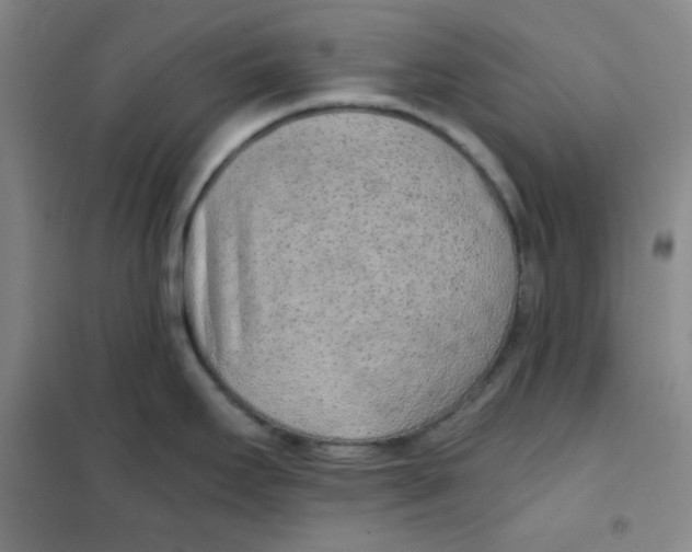 X0000101111295200807241127