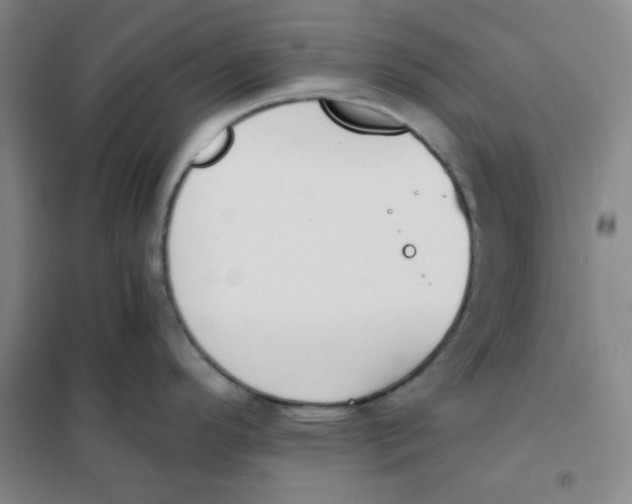 X0000101111296200807241127