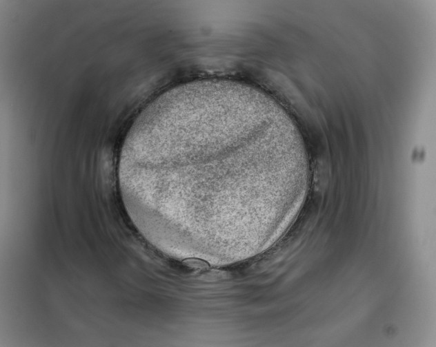 X0000101111298200807241126