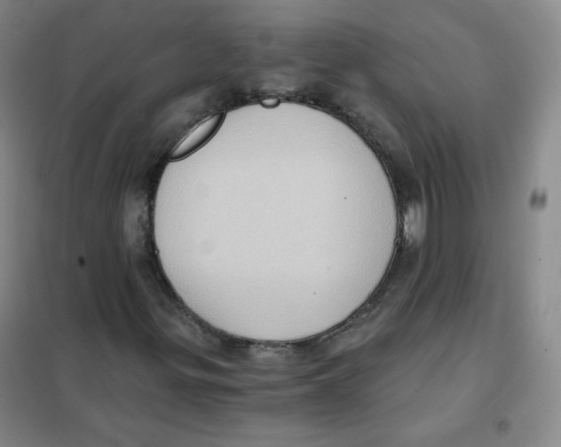 X0000101111299200807241126