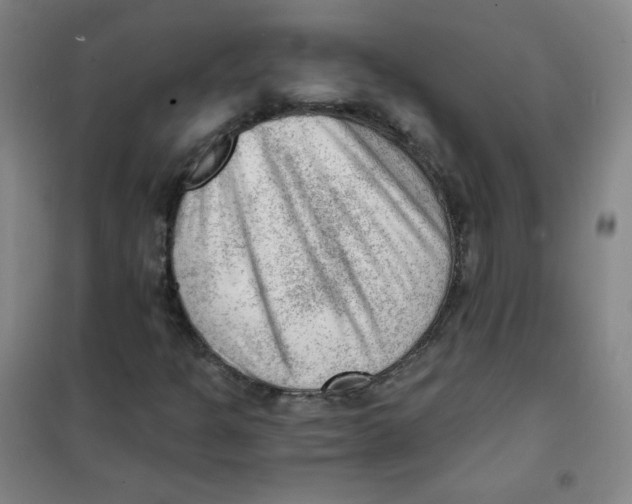 X0000101111301200807241126